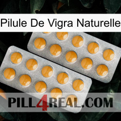Natural Vigra Pill levitra2